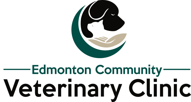 Edmonton Community Veterinary Clinic | Edmonton Alberta Canada
