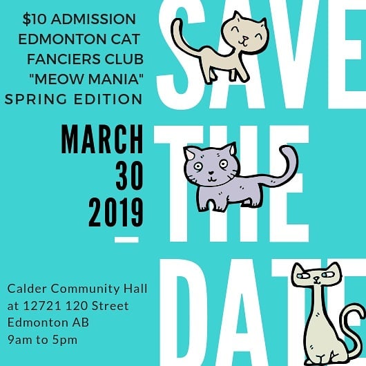 52407207_286172888720931_3585390818405384192_n