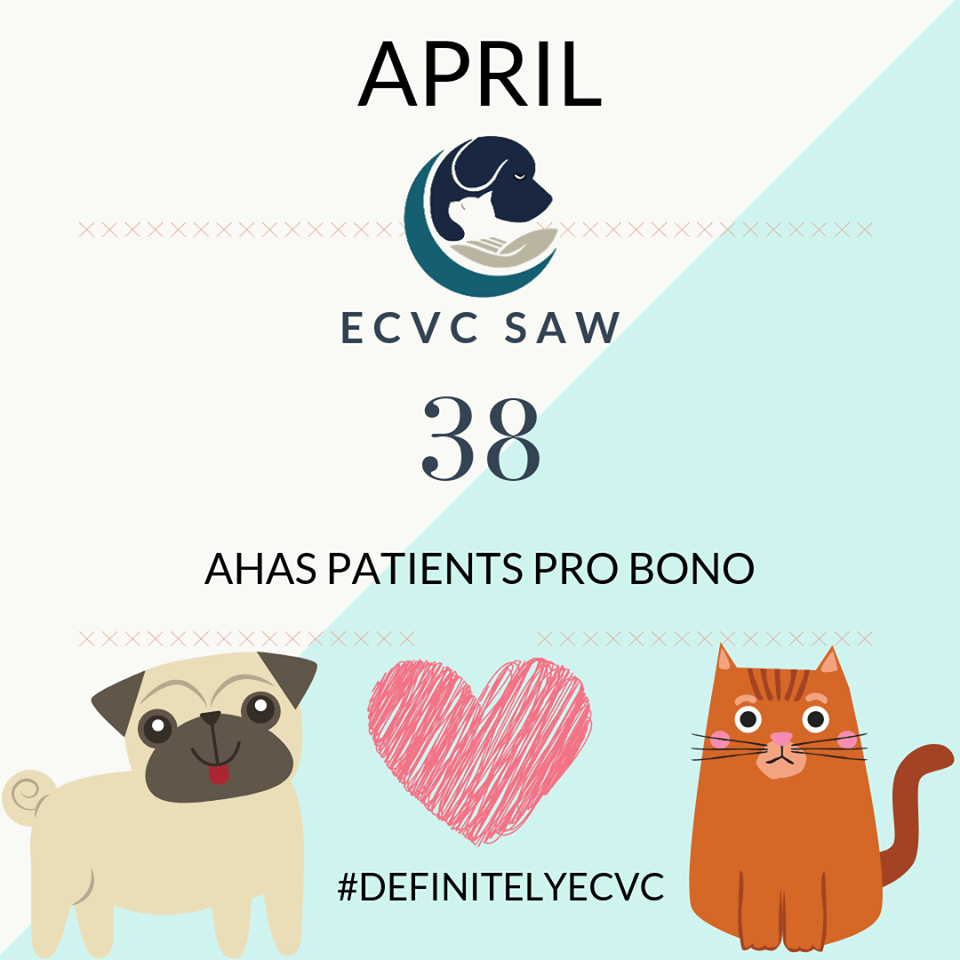 58727394_312028806135339_3440059922656526336_n