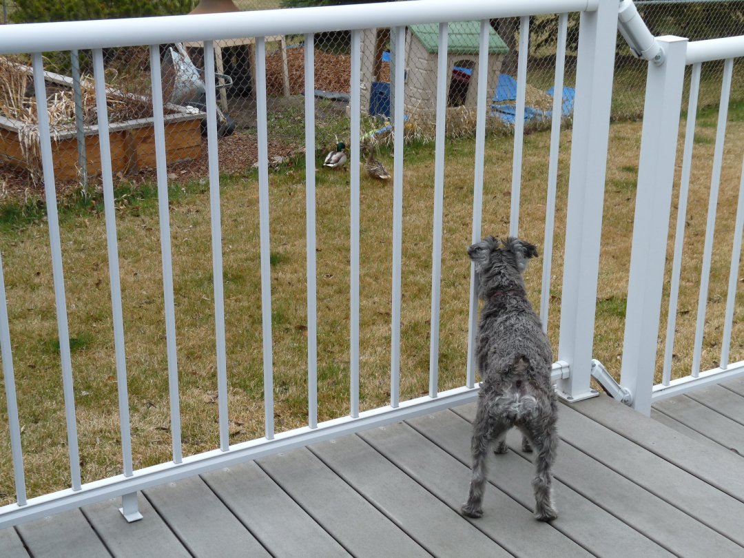 59528644_313996042605282_3072857458847252480_o