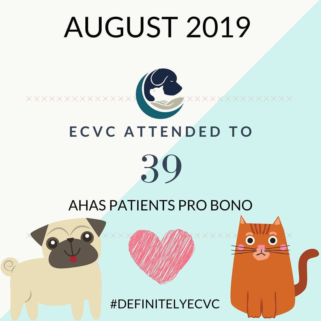 ecvcahas.jpg