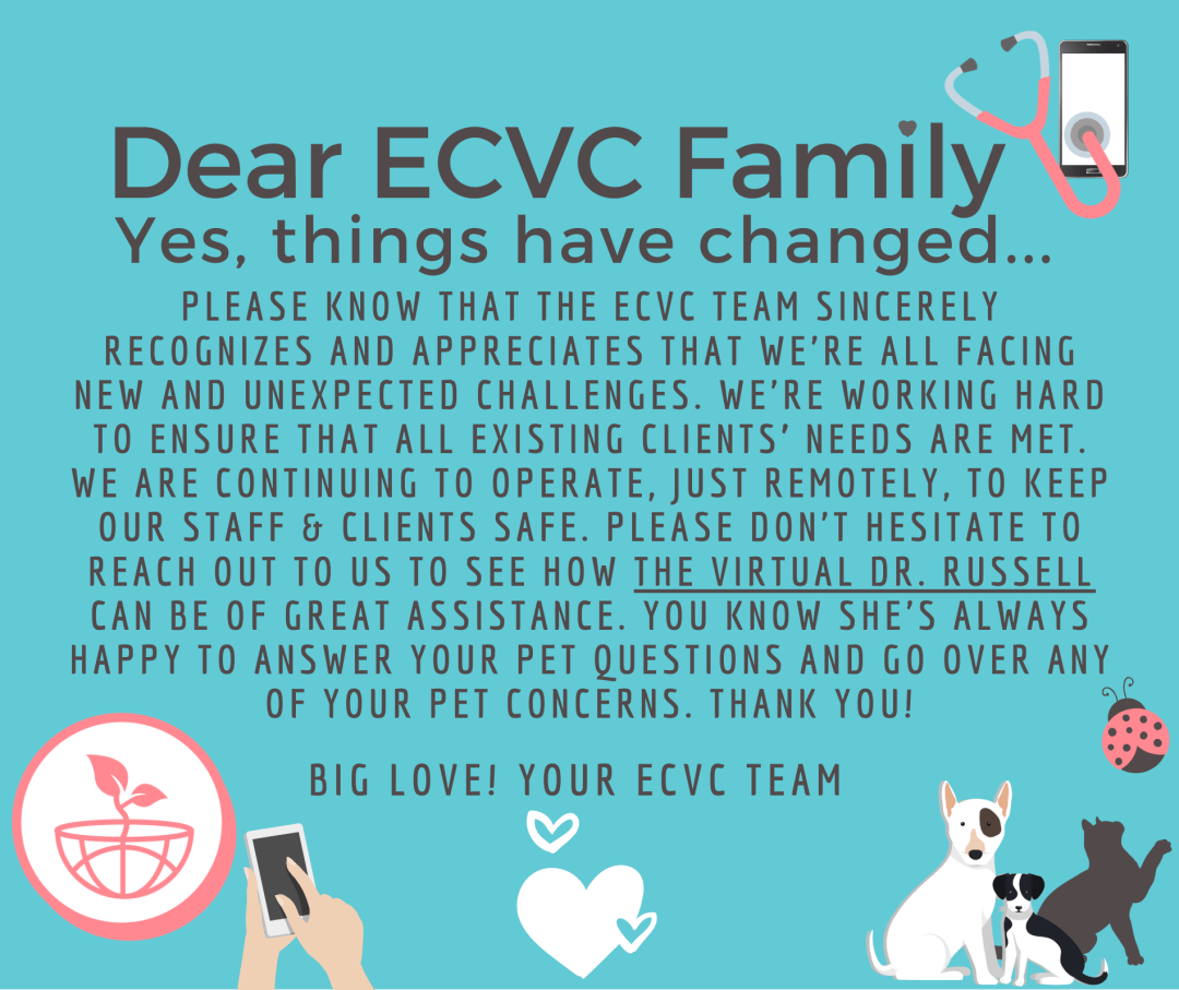 Screen Shot 2020-03-24 at 8.00.03 PM